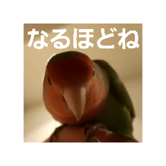 Henceforth_20260406221803