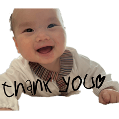 msk pine_20260406222333