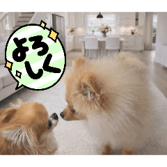 kiyobasan4_20260407182921