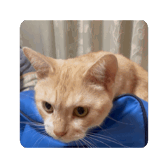 yuhki_20260407184053