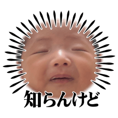 tamutamu_20260404091839