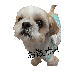 yummy_20260406230644