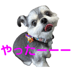 chura_20260406230218