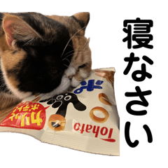 Snsn/_20260406225703