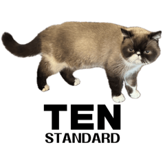 Snsn/_20260406230555