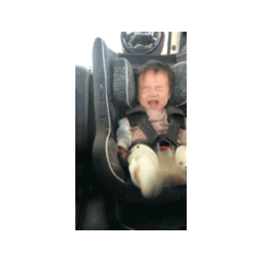 iroha_20260407194627