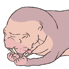 hadakadebanezumi2