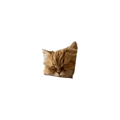 Ringo desu_20260406234848