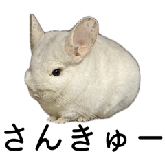 chamiramama_20260406235706