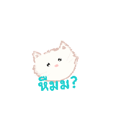 Nia_20260407164515