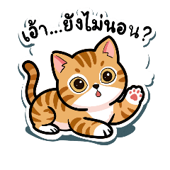 Mischievous little animals