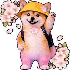 anime spring shiba