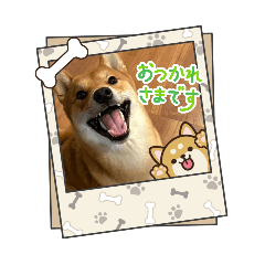 seiyoukarin_20260404122821