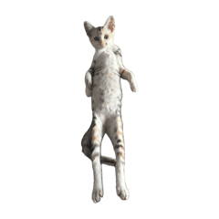 komapi_20260407023251