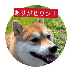 haruru_20260403222758