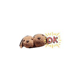 kotori_20260404122718