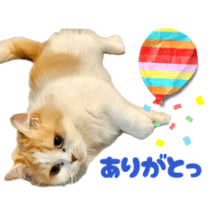 Chai's daily stickers