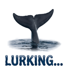 擬真活力小海豚！躺平日常語錄 [ZiFu]