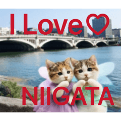 merumyu_20260404141126