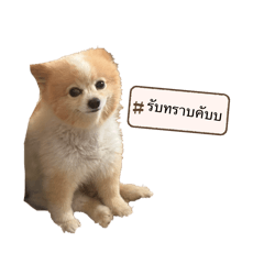 The gang sk1_20260407124909