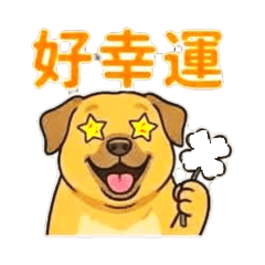 肉多多小狗子02