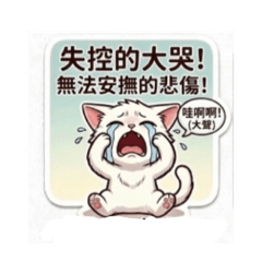 小茶米喵喵一哭笑