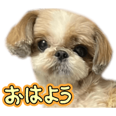 kobayashidaada_2026040717133