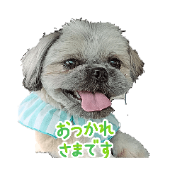 HotaMoco_20260407202825