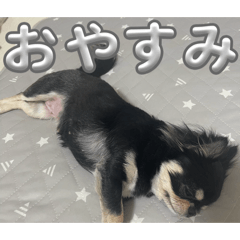 Tubudayo_20260407203255