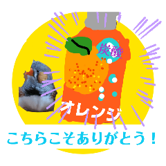 HAPPY BIRD LIFE_20260407203622