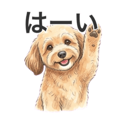 Hiroshi_20260407205808