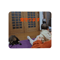 kagawakenmin_20260407205309