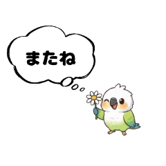 hana studio_20260407205907