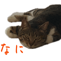 Miyu.s_20260407205923