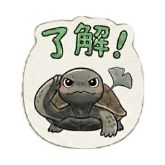 sakura_20260407210542