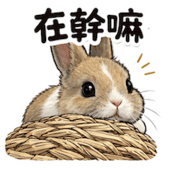 毛毛球球好可愛