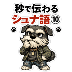 Schnau Talk in Seconds Vol.10