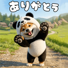 Funny Shiba Inu Costume