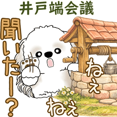 Shih tzu 2026 (Wellside chat)