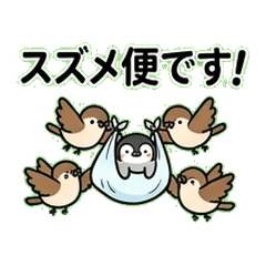 Tiny Penguin & Sprightly Sparrows