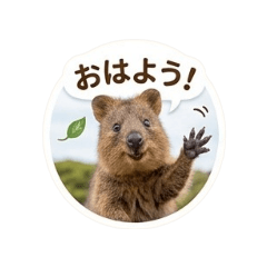 chan22_20260407190411