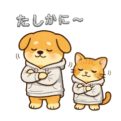 creatorname_20260407210834