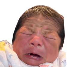 PENGIN_20260407211453