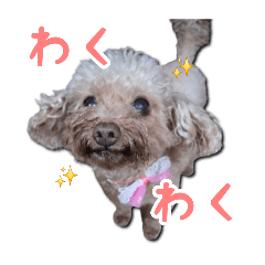 BUENA_20260407211323