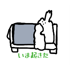 okome_20260404134640