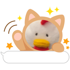 Ringo_20260404115101