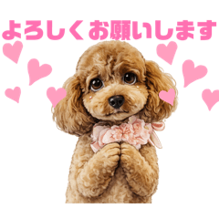 piropiro_20260407084800