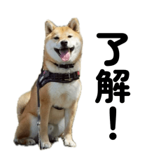 aoi0417_20260407085811