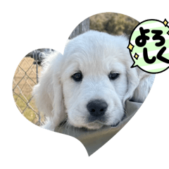 Keiko Katagiri_20260407085255