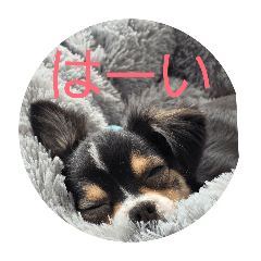 noriko_20260407085408